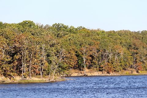 Lake of the Ozark in Missouri