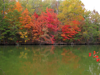 fall foilage at tellico lake, TN